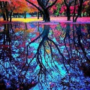 Meet your Posher, Breeann